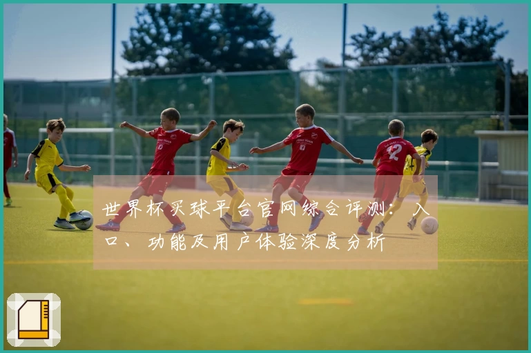世界杯买球平台官网综合评测：入口、功能及用户体验深度分析
