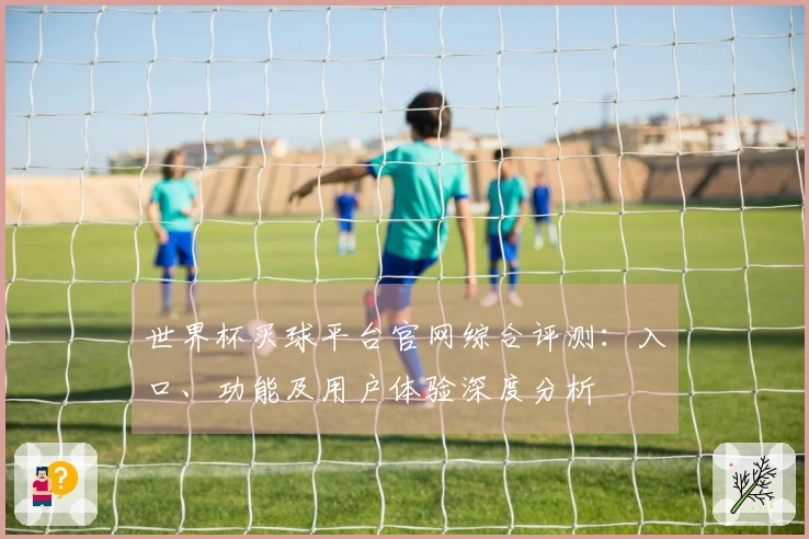 世界杯买球平台官网综合评测：入口、功能及用户体验深度分析
