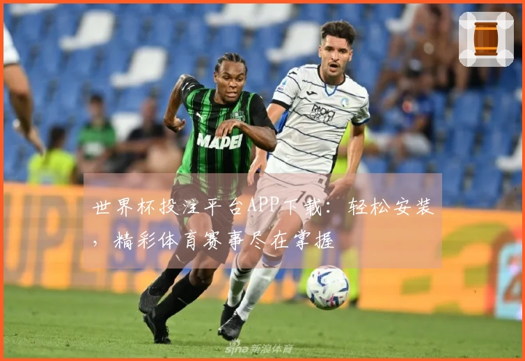 世界杯投注平台APP下载：轻松安装，精彩体育赛事尽在掌握