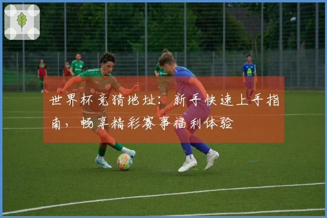 世界杯竞猜地址:新手快速上手指南,畅享精彩赛事福利体验